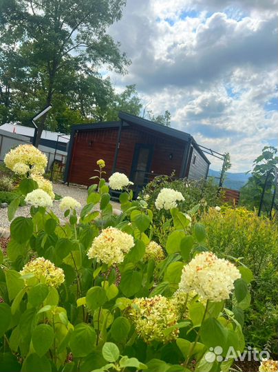 Аренда посуточно