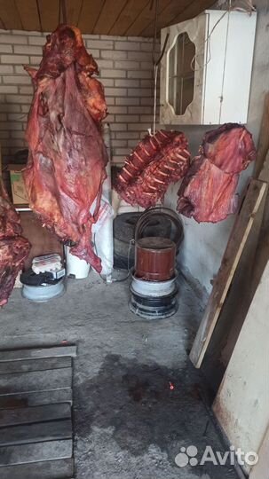 Мясо для собак