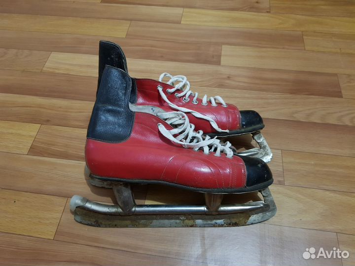 Коньки-петушки