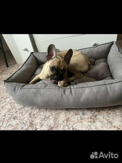 Лежанка для собак