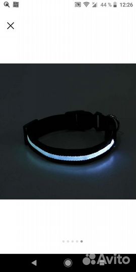 Ошейник, миски с лотком