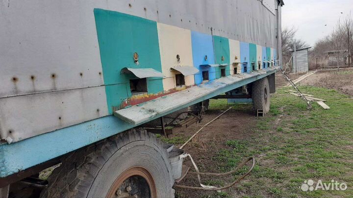 Пчеловодный павильон