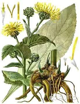 Травы, корень девясил, замороженные ягоды