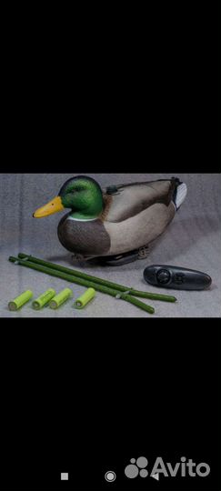 Чучела уток на радио управлении. Махокрыл