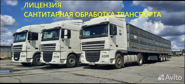 Скотовоз от 1 головы