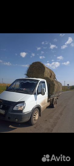 Сено в рулонах (с доставкой)