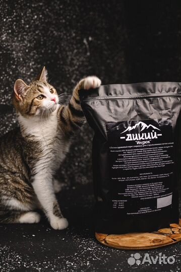 Сухой корм для кошек, 3 кг