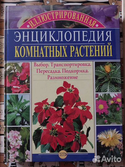 Книга Энциклопедия комнатных растений