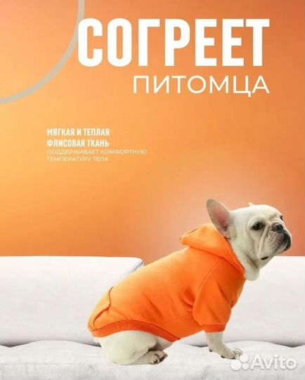 Костюмчик для собак