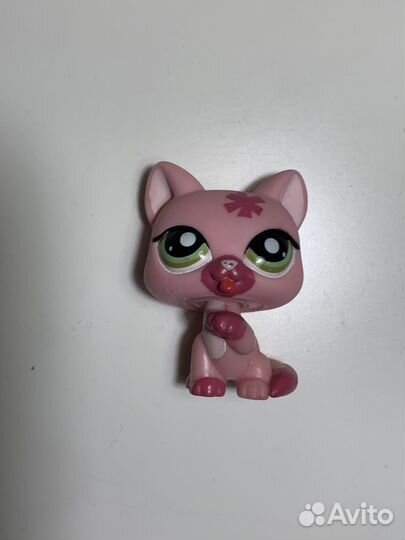 Лпс кошечка