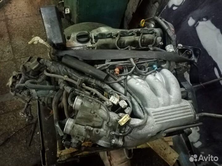 Двигатель Toyota Alphard MNH15 1MZ-FE 2003