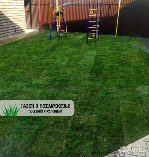Рулонный газон