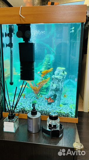 Аквариум