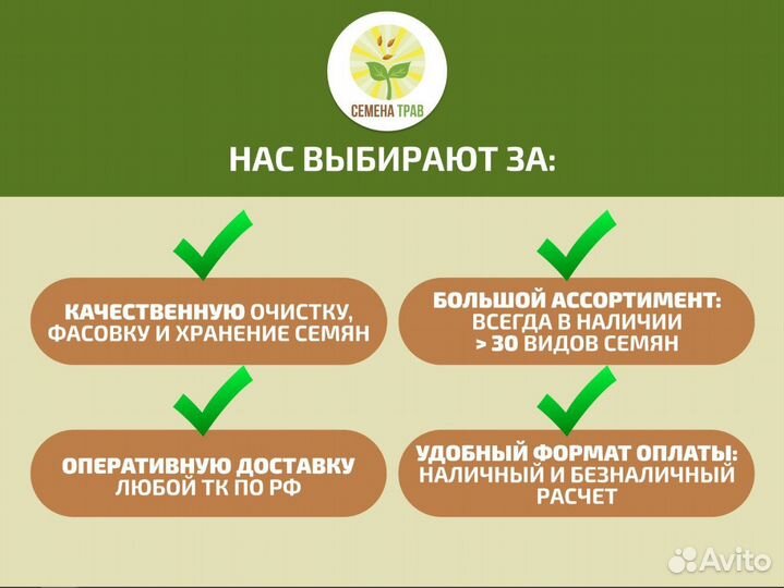 Семена газонной травы (Дания) robustika