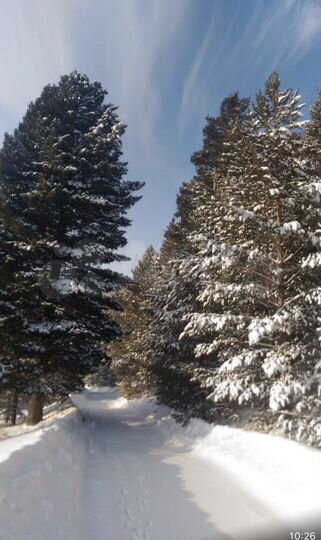 Дом 31,4 м² на участке 36 сот.