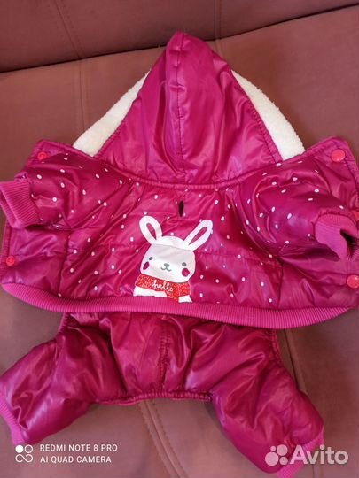 Комбинезон для мелкой собаки зима