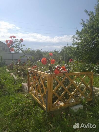 Шпалера садовая