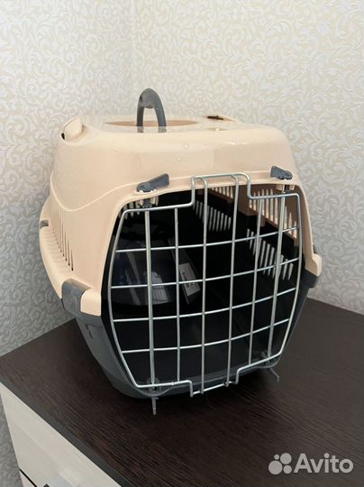 Переноска для животных в аренду