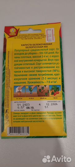 Семена белокочанной капусты