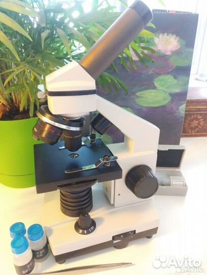 Микроскоп levenhuk rainbow 2l