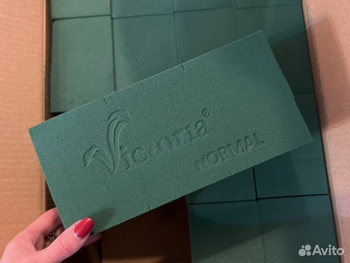 Оазис флористический