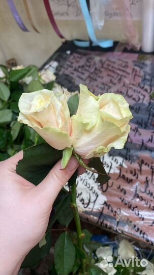 Продавец цветов,можно студенты без опыта