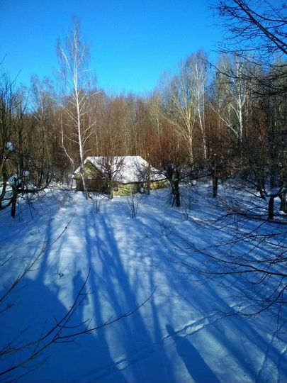 Участок 45 сот. (СНТ, ДНП)