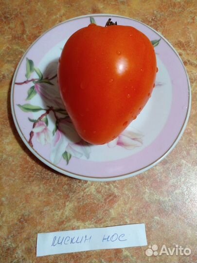 Семена томатов - биколоры и оранжевые