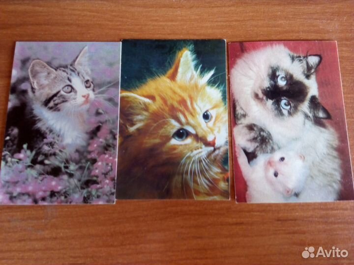 Календари 10 рублей 2002,2003,2004,2005,1996,1994г