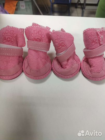 Обувь для маленьких собак