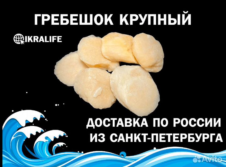 Гребешок крупный для продажи. Доставка по РФ