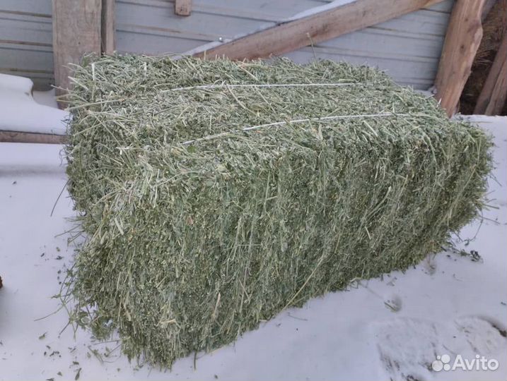 Сено и солома в тюках