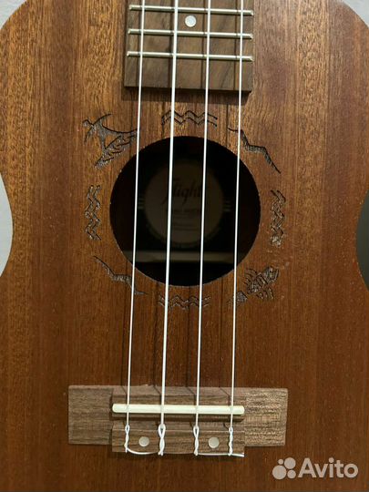 Укулеле flight концерт