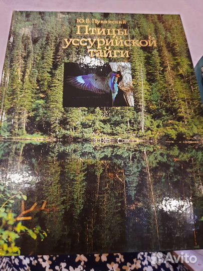 Птицы уссурийской тайги