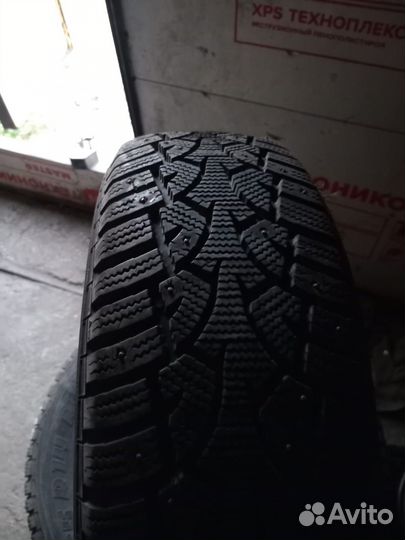 Nord Wolf Cargo 185/65 R14