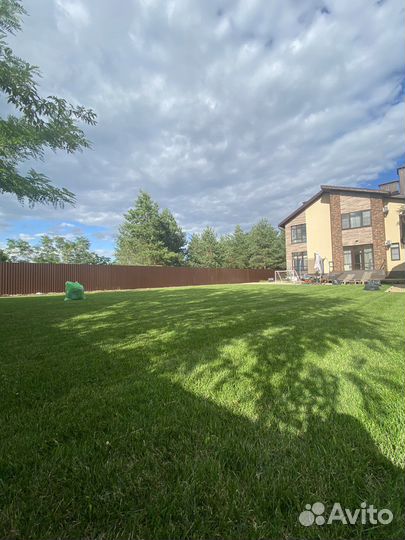 Рулонный газон с укладкой