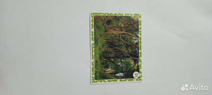 Наклейки живая планета