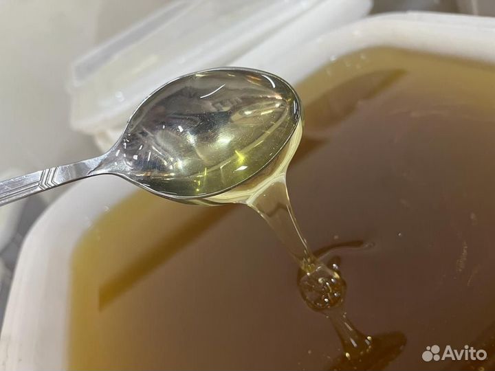 Свежий мед майский оптом