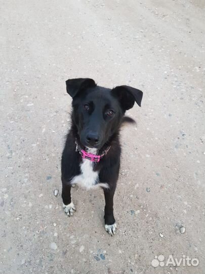 Молодой мальчик в добрые руки