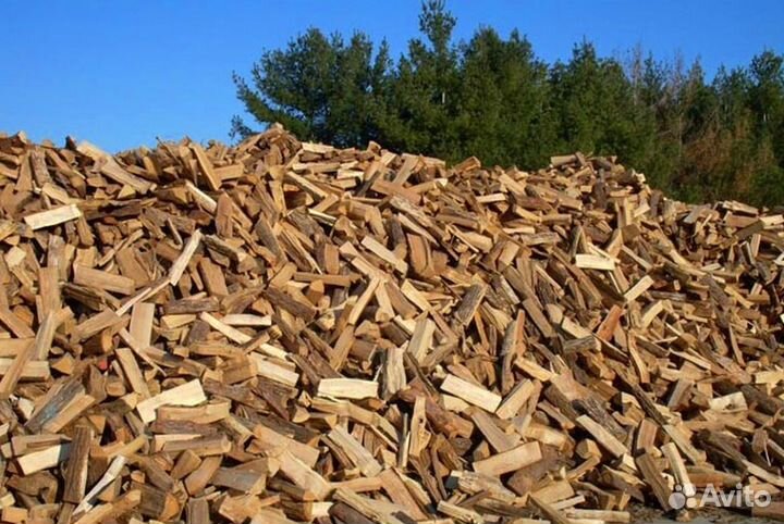 Дрова по выбору