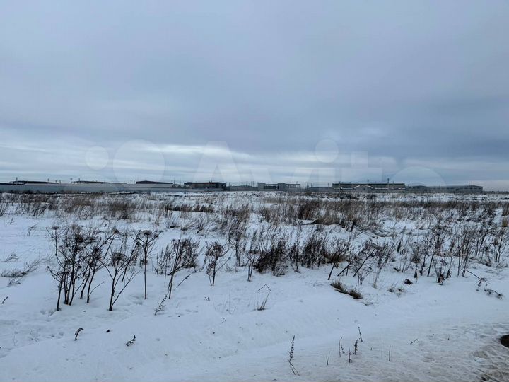 Участок 31,3 сот. (промназначения)