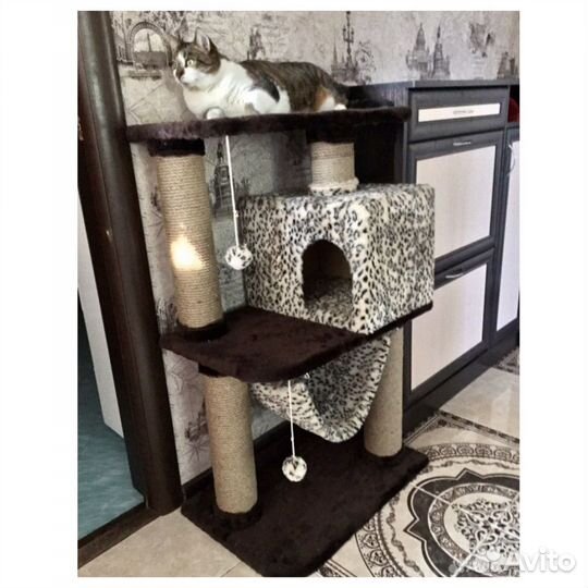 Комплекс для кошек