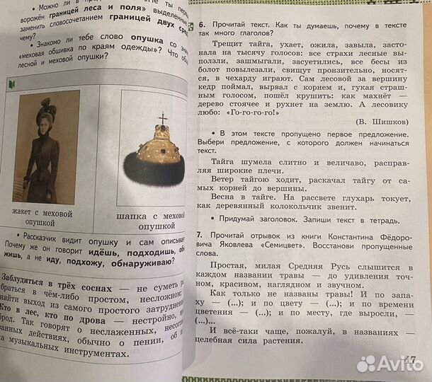 Русский родной язык 3 класс