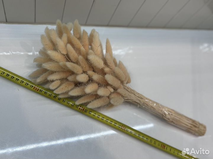 Сухоцветы букет