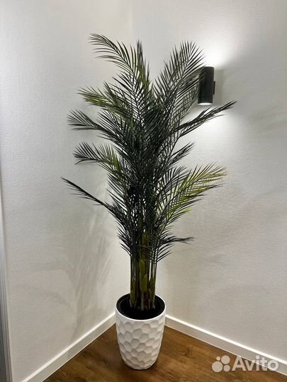 Искусственные деревья / фитокартина Оренбург