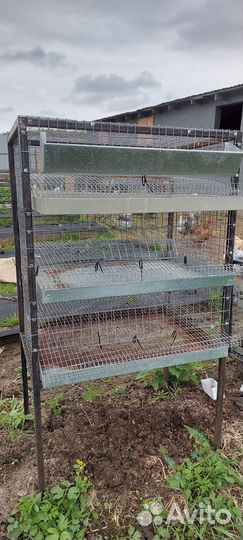 Клетка для перепелок бу