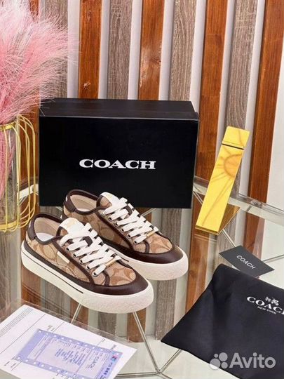 Женские кеды coach