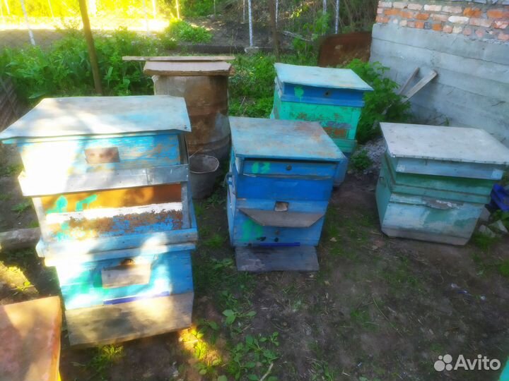 Ульи для пчёл