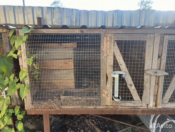 Клетки для кролика, большие