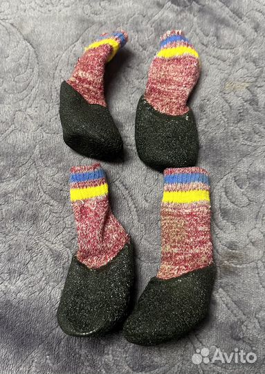 Обувь для собак